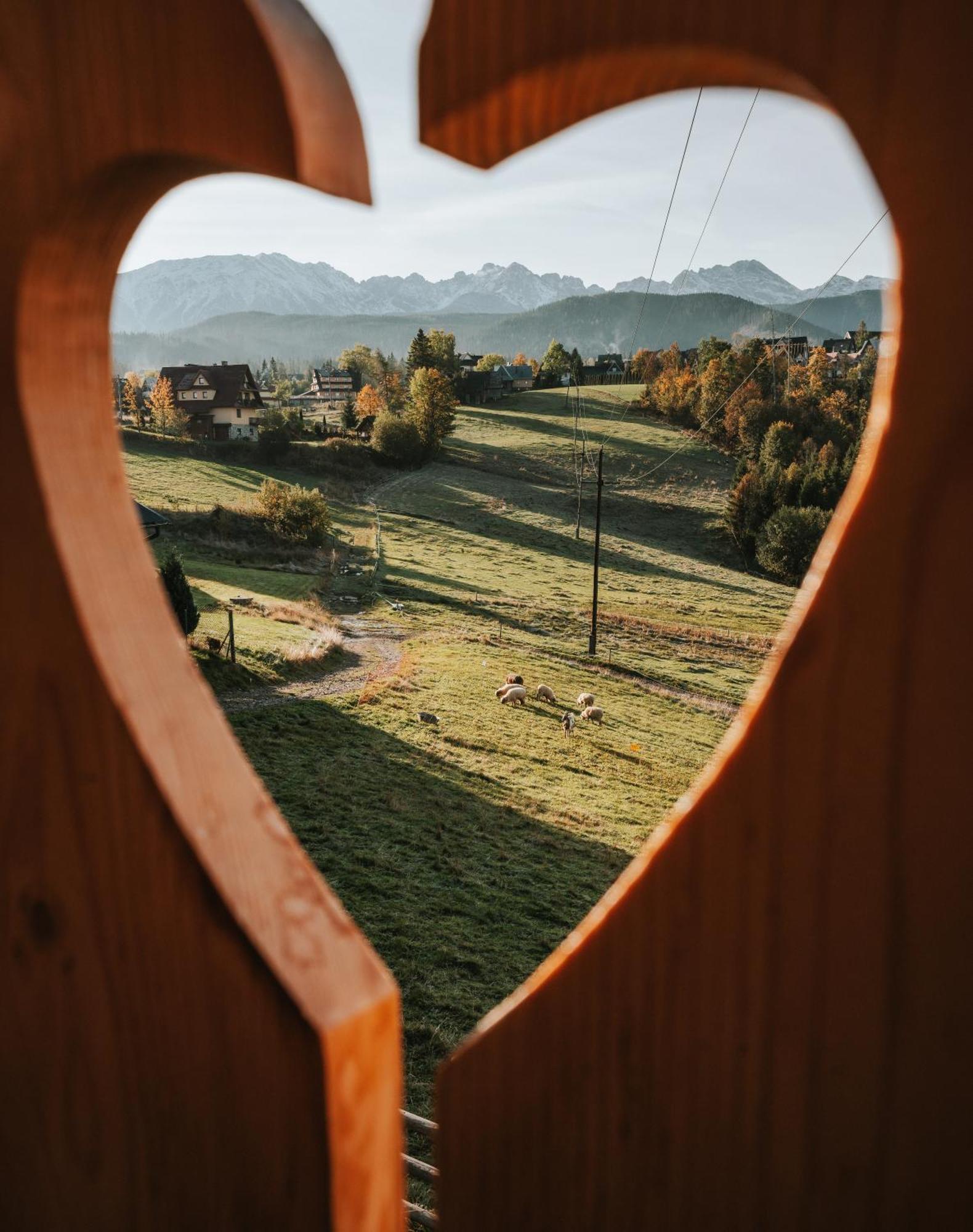 Mountain Base - Dom Hrabiego Villa Zakopane Kültér fotó